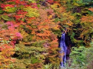 西沢渓谷の紅葉写真１