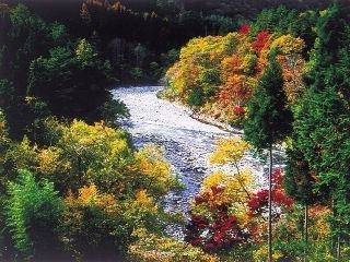 丹波渓谷の紅葉写真１