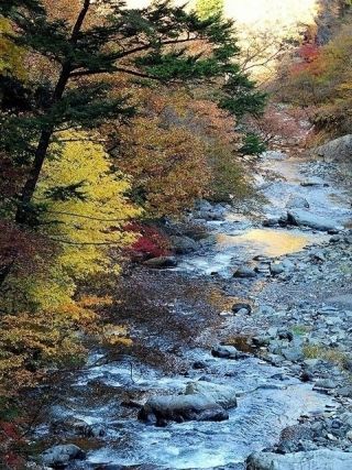 丹波渓谷の紅葉の写真３