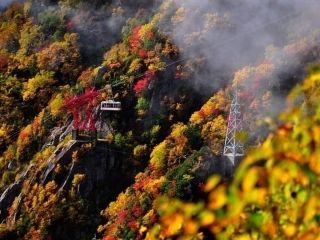 千畳敷カール・中央アルプス駒ヶ岳ロープウェイの紅葉の写真３