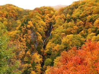 松川渓谷の紅葉の写真３