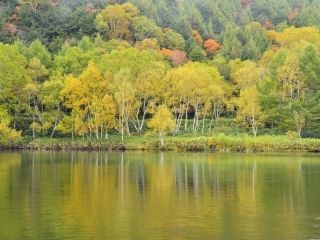 志賀高原の紅葉の写真３