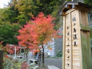 梅ヶ島温泉の紅葉写真１