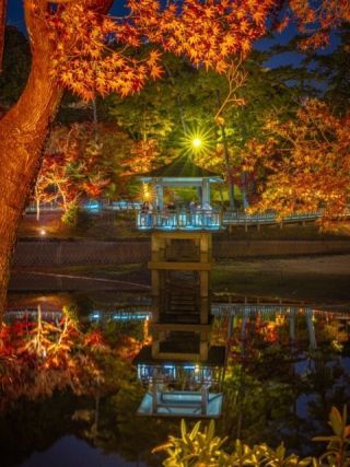 岡崎市東公園の紅葉写真２