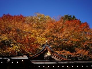 貴船神社の紅葉の写真３