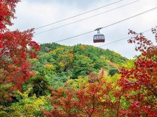 六甲山の紅葉写真１