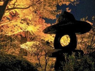 神戸市立須磨離宮公園の紅葉写真１
