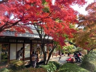 神戸市立須磨離宮公園の紅葉写真２