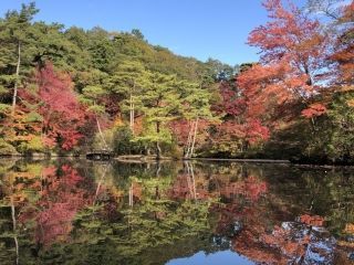 神戸市立森林植物園の紅葉写真２