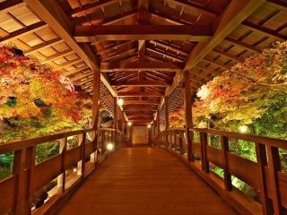 姫路城西御屋敷跡庭園 好古園の紅葉写真１