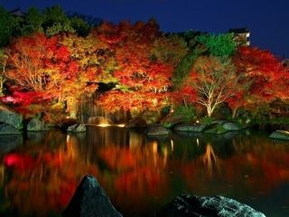 姫路城西御屋敷跡庭園 好古園の紅葉写真２