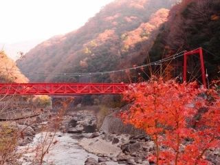 武田尾温泉の紅葉写真１