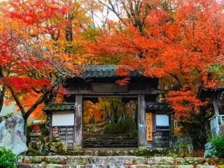 高源寺の紅葉写真１