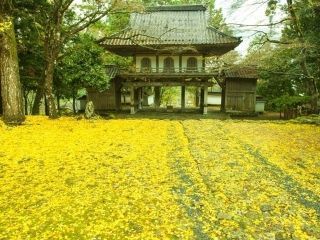 高源寺の紅葉の写真４