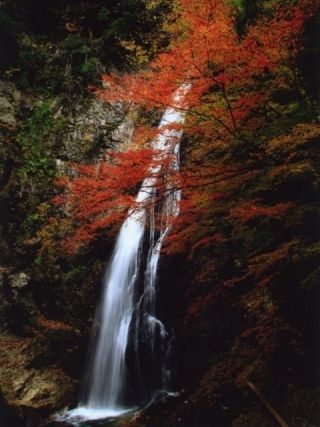 原不動滝の紅葉写真１