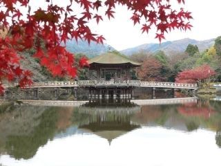 奈良公園の紅葉の写真３