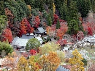 室生寺の紅葉の写真３