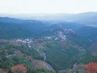 吉野山の紅葉写真１
