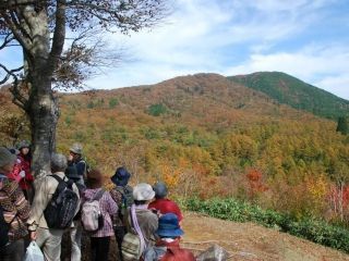 岡山県立森林公園の紅葉写真１