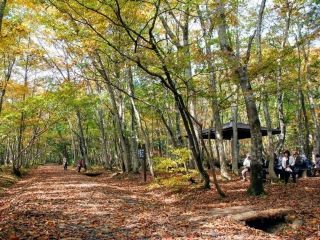 岡山県立森林公園の紅葉写真２