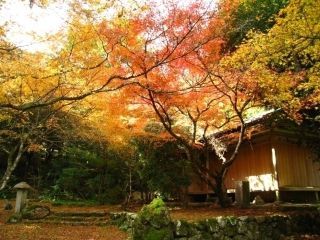 華山神上寺の紅葉写真１