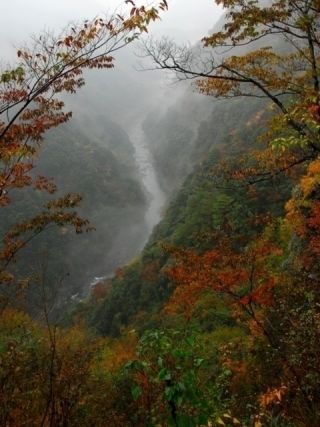 祖谷渓の紅葉写真２