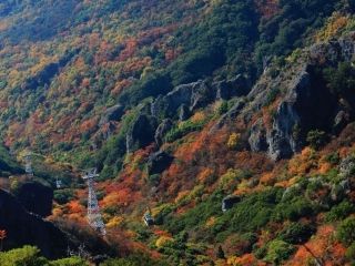 寒霞渓の紅葉の写真３