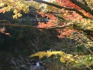 柏原渓谷の紅葉写真１