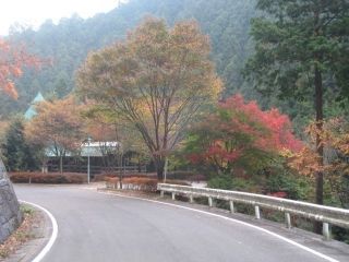鈍川渓谷の紅葉写真１