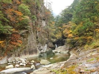 面河渓の紅葉写真１