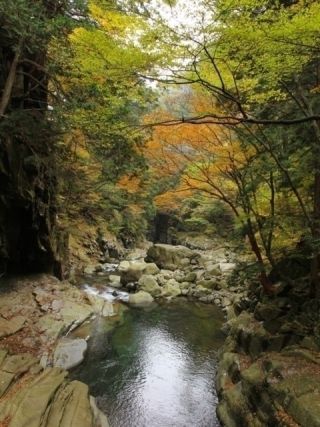 面河渓の紅葉写真２