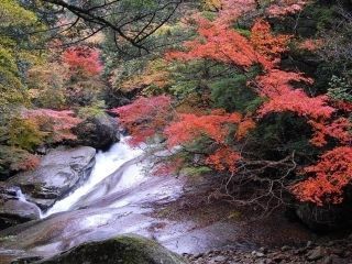 滑床渓谷の紅葉写真１