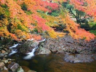滑床渓谷の紅葉の写真４