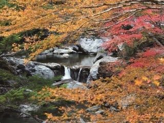瀬戸川渓谷の紅葉写真１