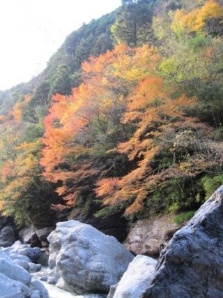 中津渓谷の紅葉写真２