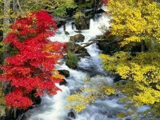 阿寒湖の紅葉写真２