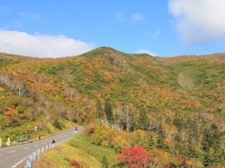 知床峠の紅葉の写真４