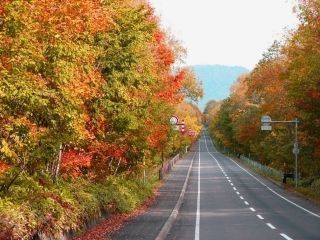 屈斜路湖畔の紅葉写真２