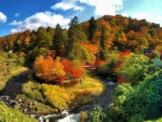 中野もみじ山の紅葉写真１