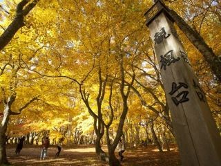 中野もみじ山の紅葉の写真４