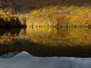 蔦沼の紅葉の写真４