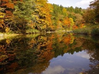 薬研温泉の紅葉写真１