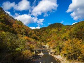 久慈渓流の紅葉写真１