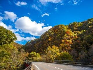 久慈渓流の紅葉写真２