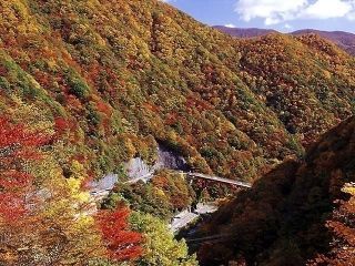 仙人峠の紅葉写真１