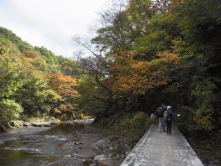 二口峡谷の紅葉写真１