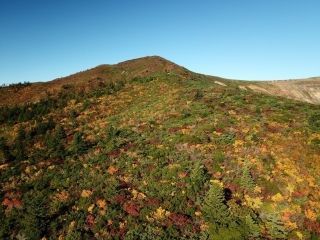 蔵王エコーライン（宮城県側）の紅葉写真１