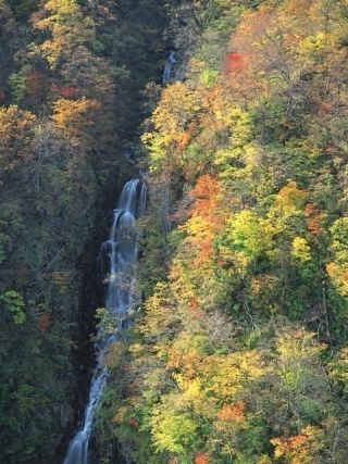 蔵王エコーライン（宮城県側）の紅葉写真２