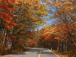 蔵王エコーライン（宮城県側）の紅葉の写真３