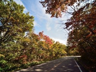 蔵王エコーライン（宮城県側）の紅葉の写真４